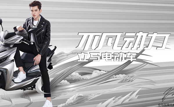 立马车业集团有限公司